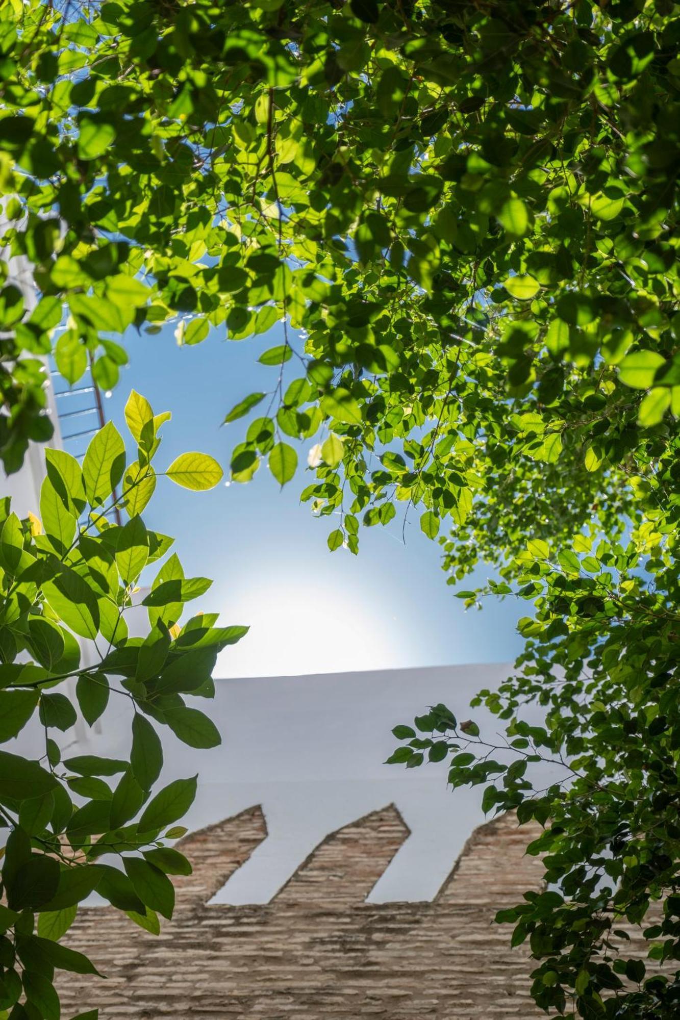 Puerta De Armas Apartments Σεβίλλη Εξωτερικό φωτογραφία